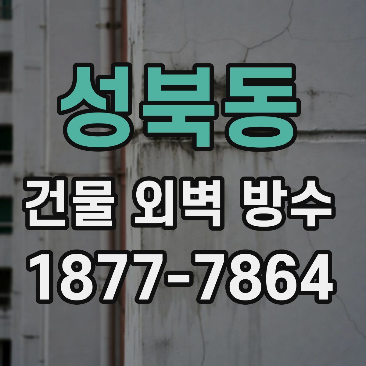 성북동 건물 외벽 방수