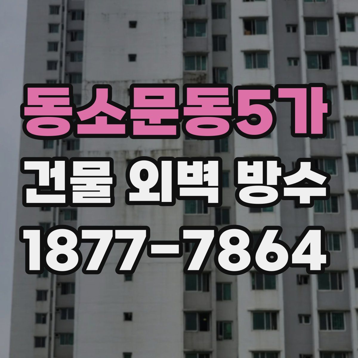 동소문동5가 건물 외벽 방수