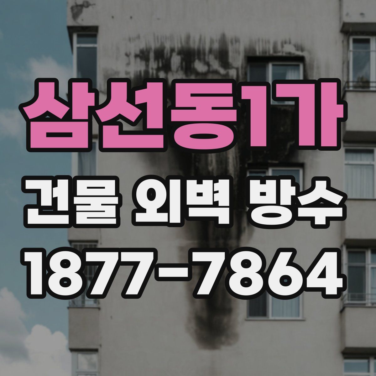 삼선동1가 건물 외벽 방수