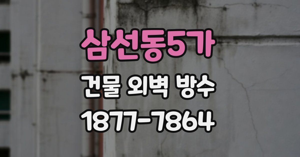 삼선동5가 건물 외벽 방수