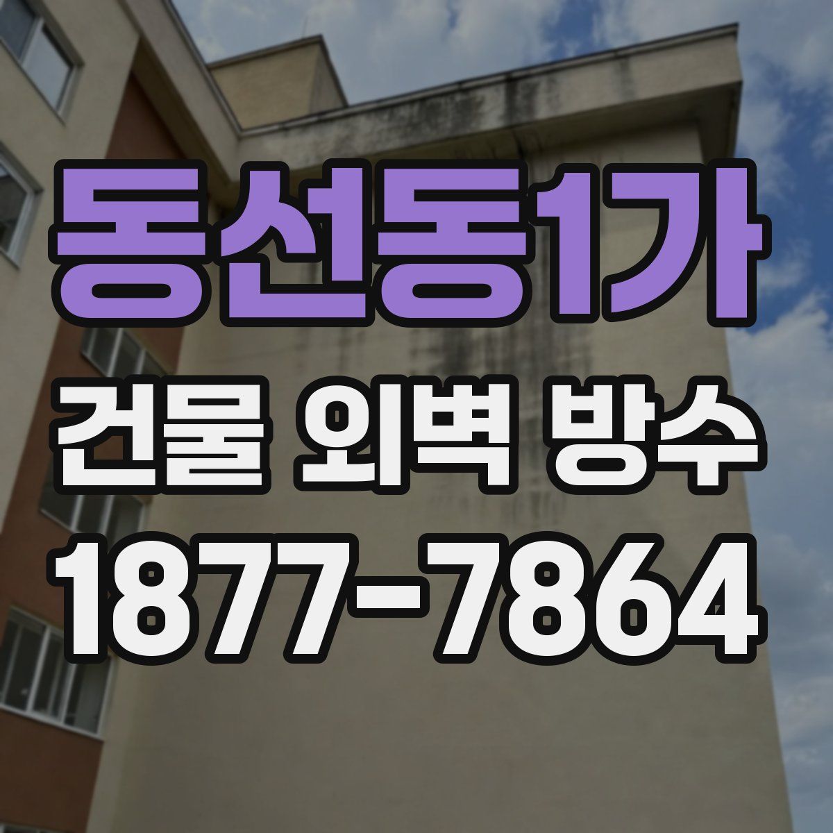 동선동1가 건물 외벽 방수