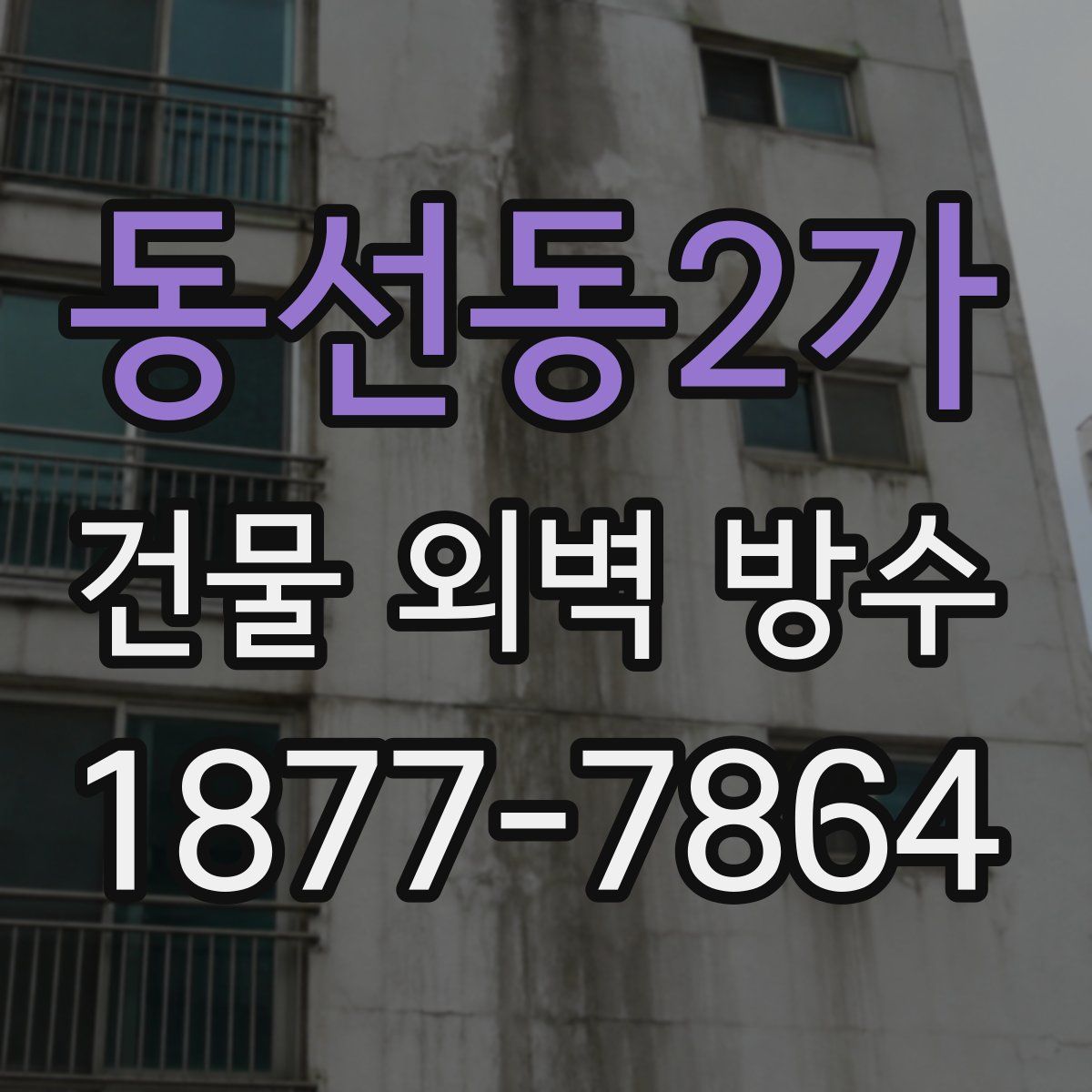동선동2가 건물 외벽 방수