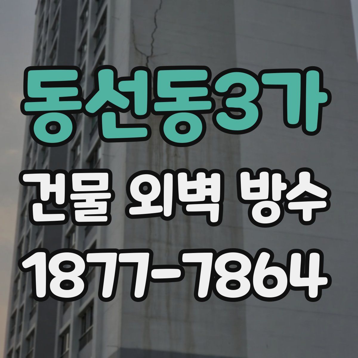 동선동3가 건물 외벽 방수