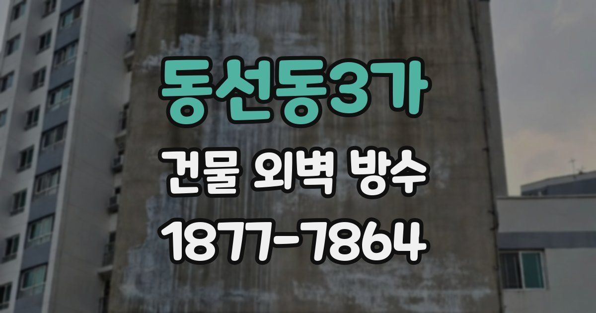 동선동3가 건물 외벽 방수
