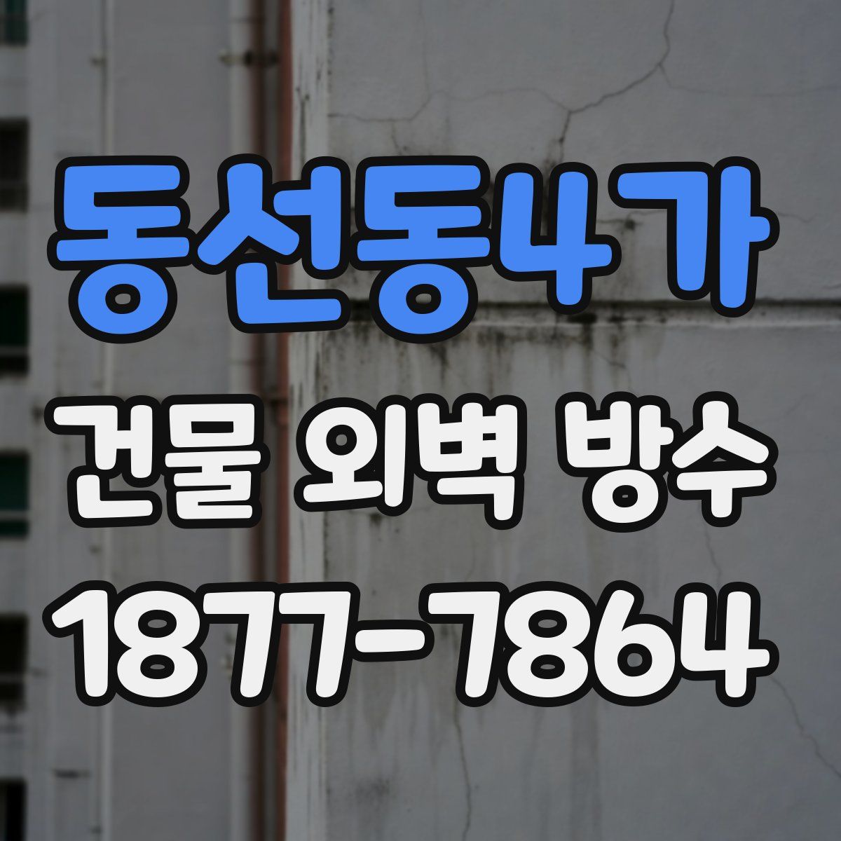 동선동4가 건물 외벽 방수