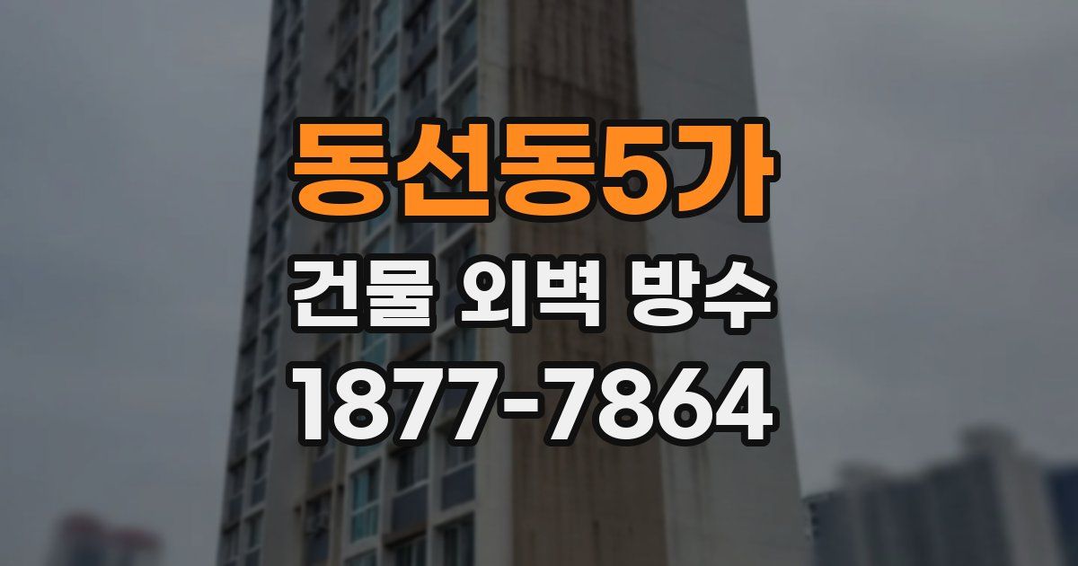 동선동5가 건물 외벽 방수