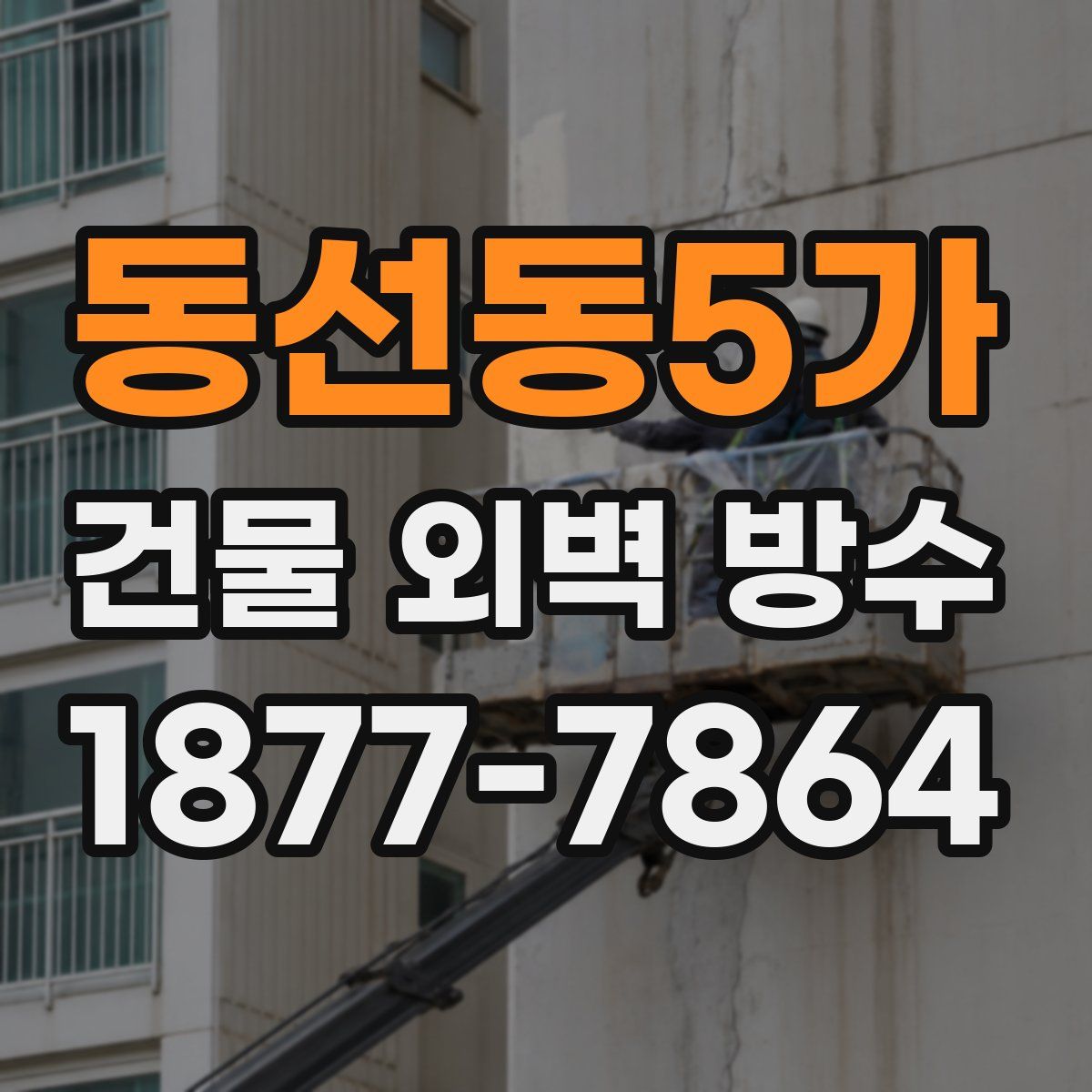 동선동5가 건물 외벽 방수