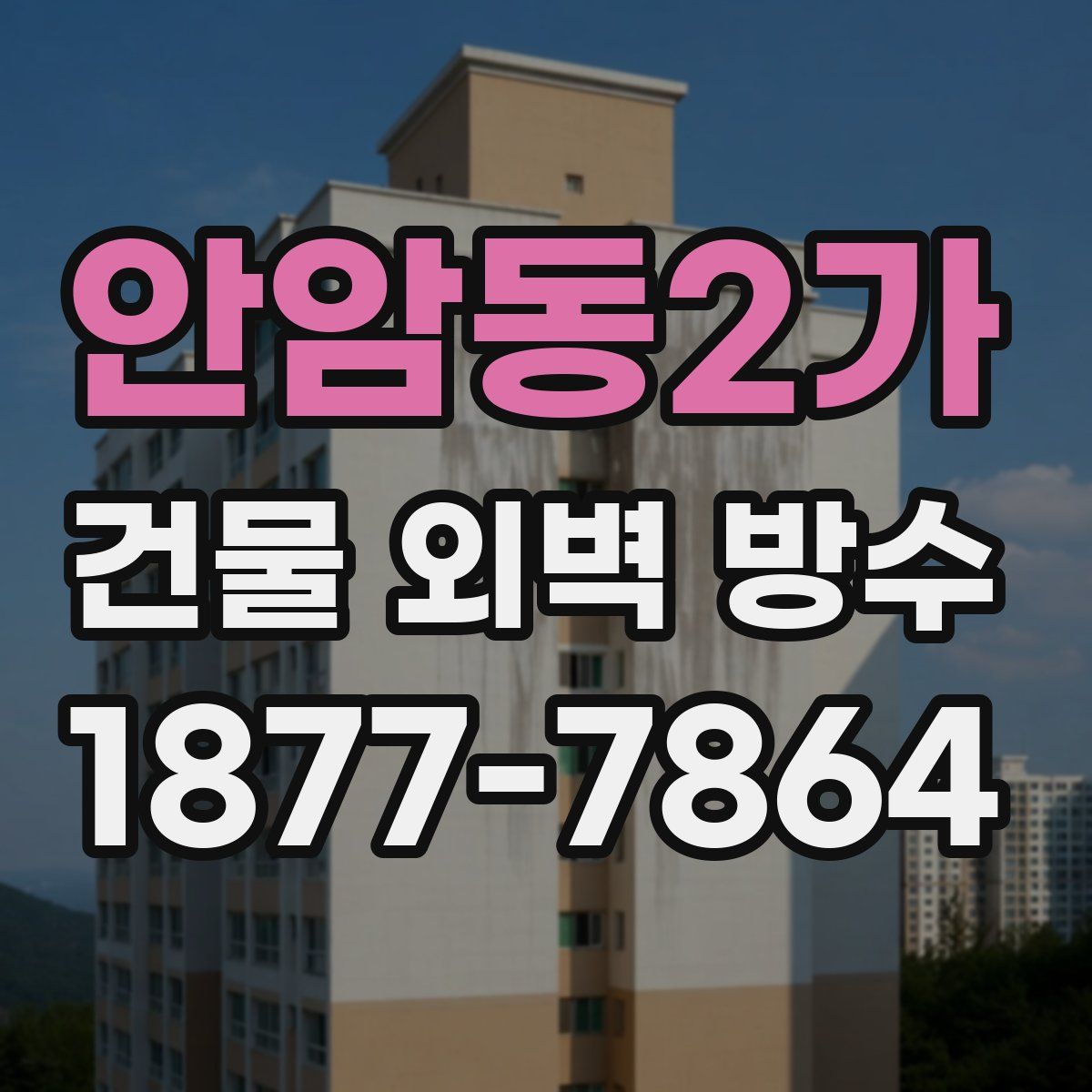 안암동2가 건물 외벽 방수