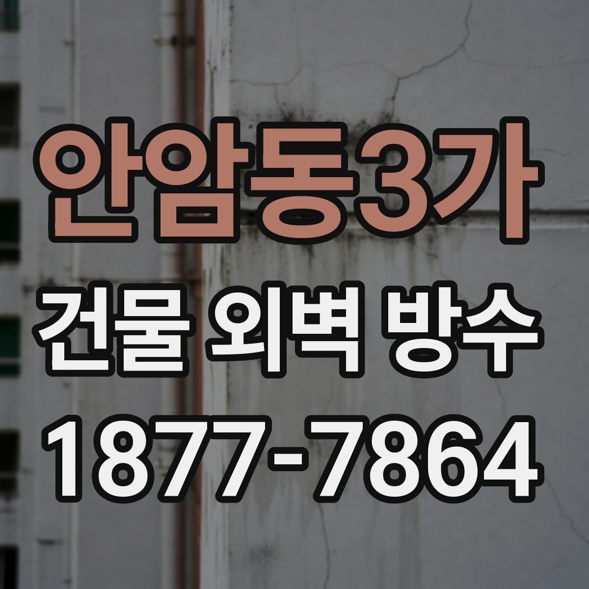 안암동3가 건물 외벽 방수