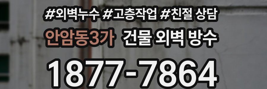 안암동3가 건물 외벽 방수