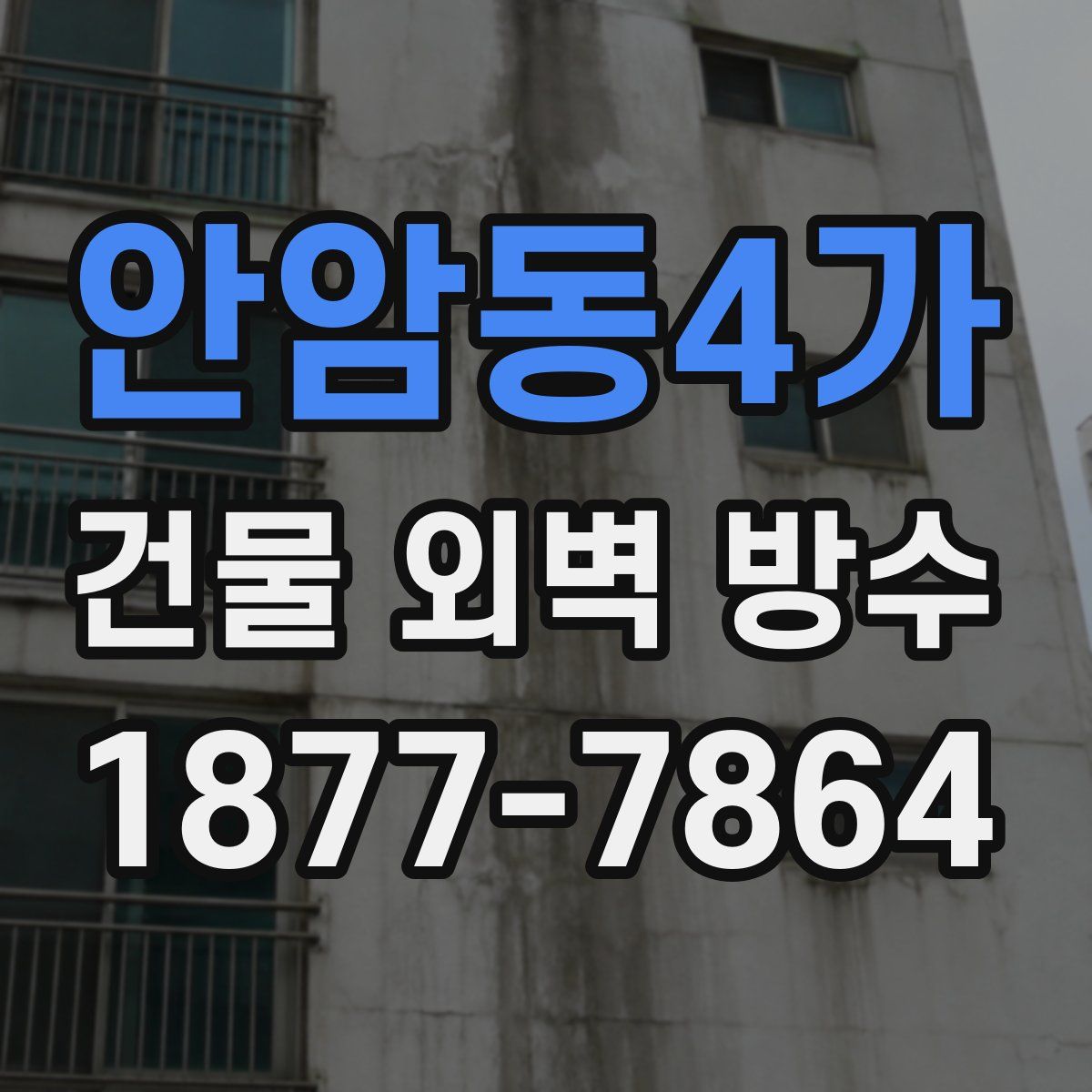 안암동4가 건물 외벽 방수
