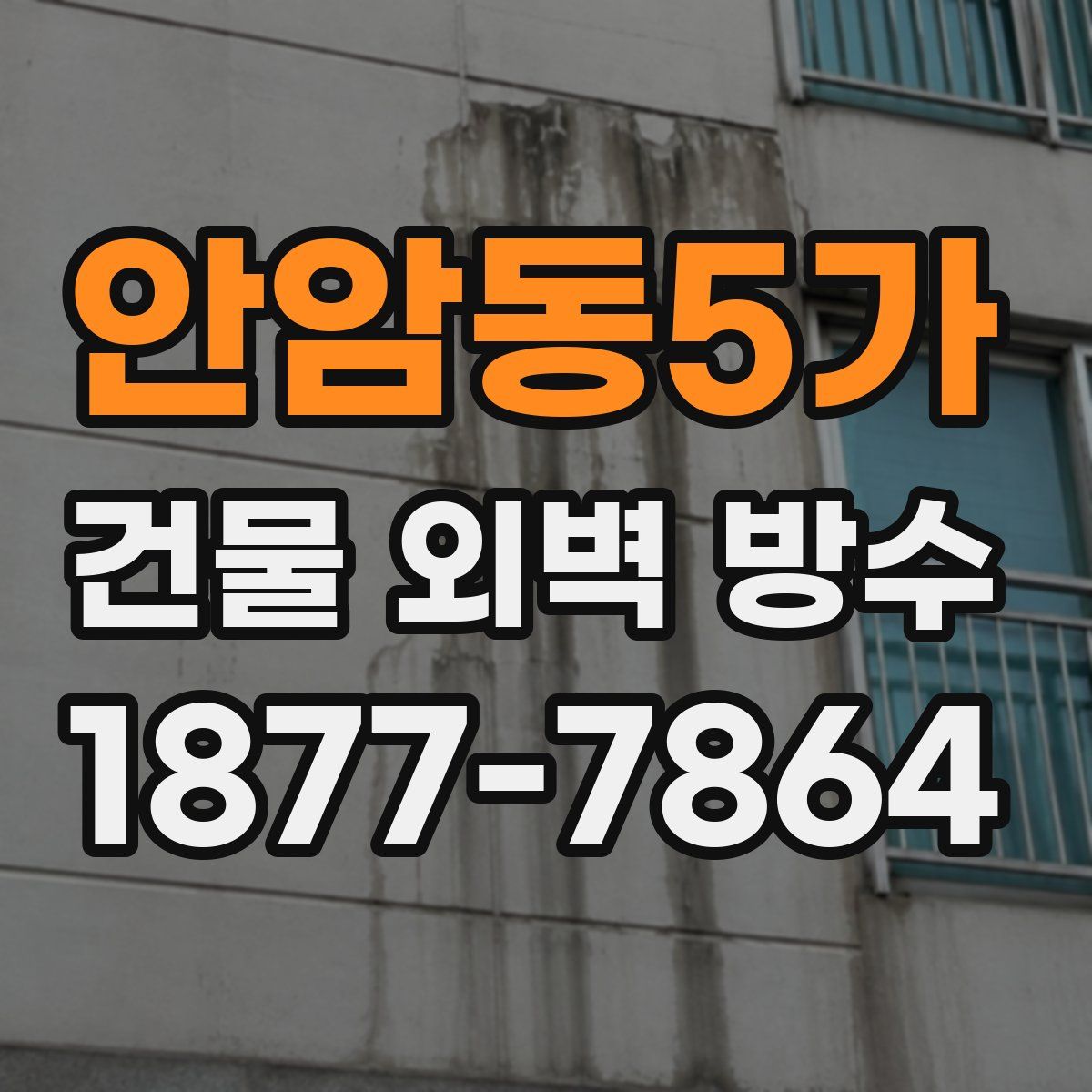 안암동5가 건물 외벽 방수