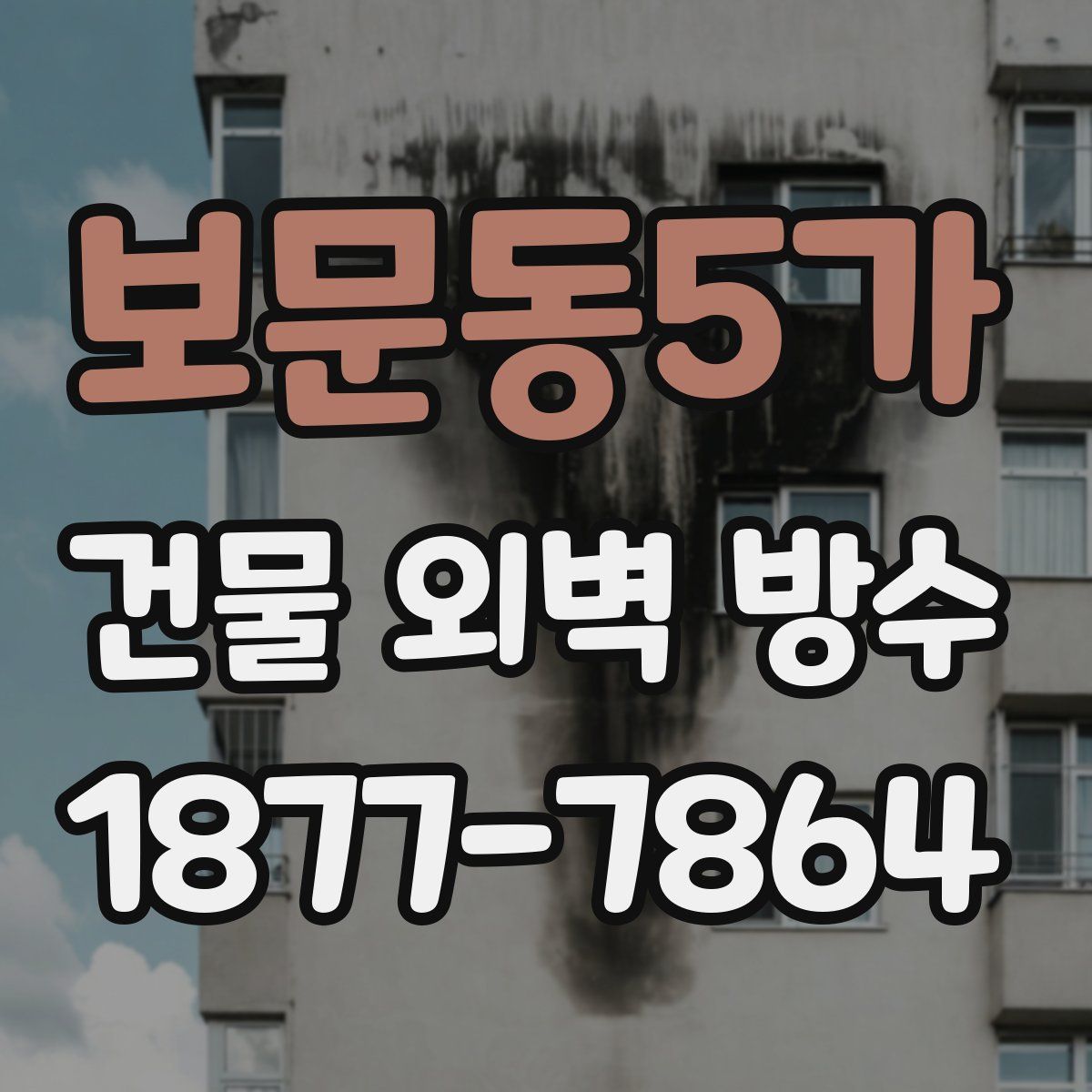 보문동5가 건물 외벽 방수