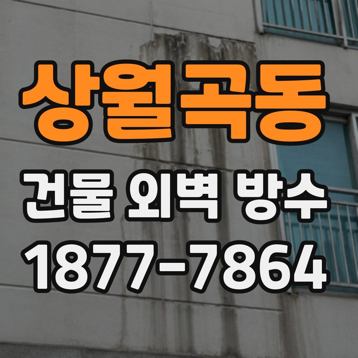 상월곡동 건물 외벽 방수