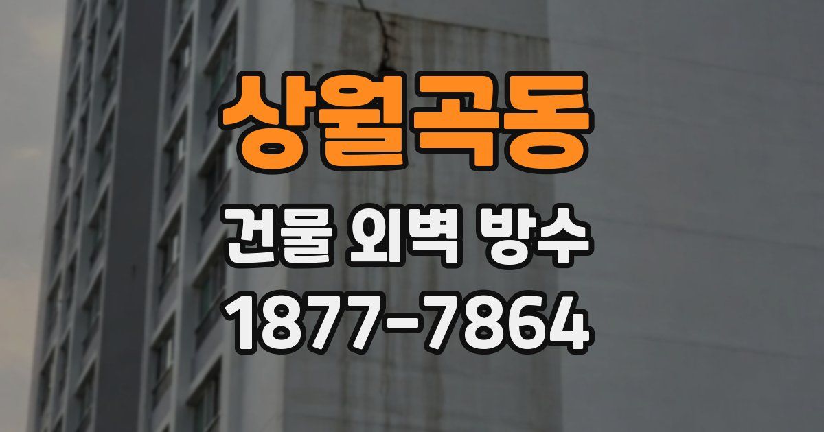 상월곡동 건물 외벽 방수