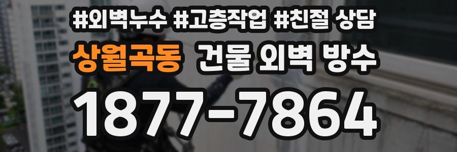 상월곡동 건물 외벽 방수