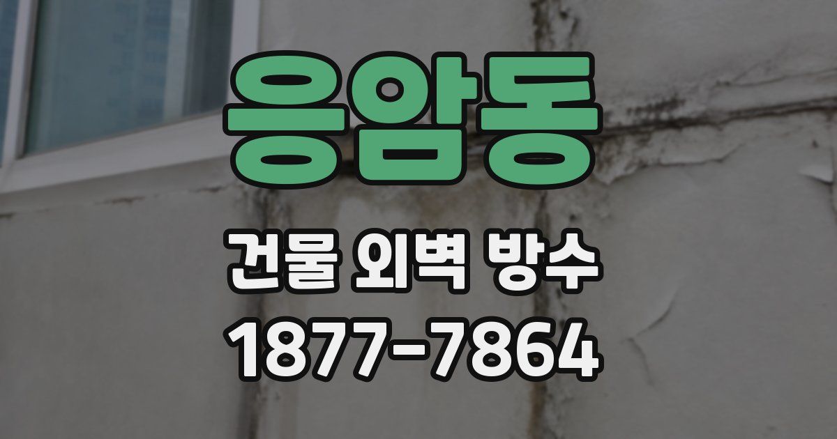 응암동 건물 외벽 방수