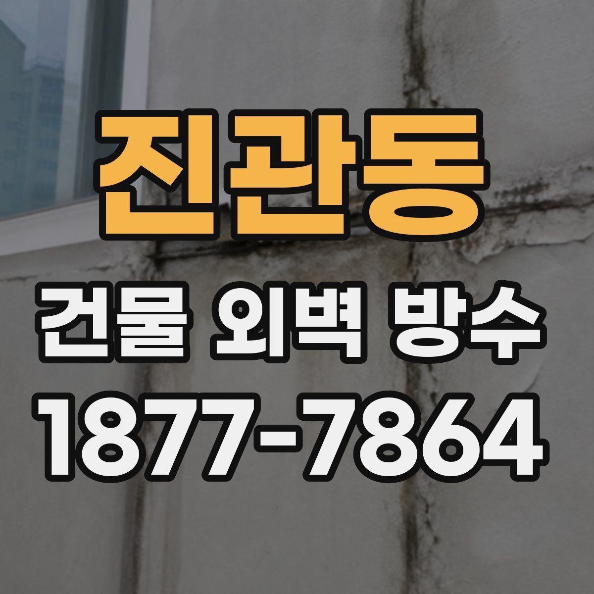 진관동 건물 외벽 방수