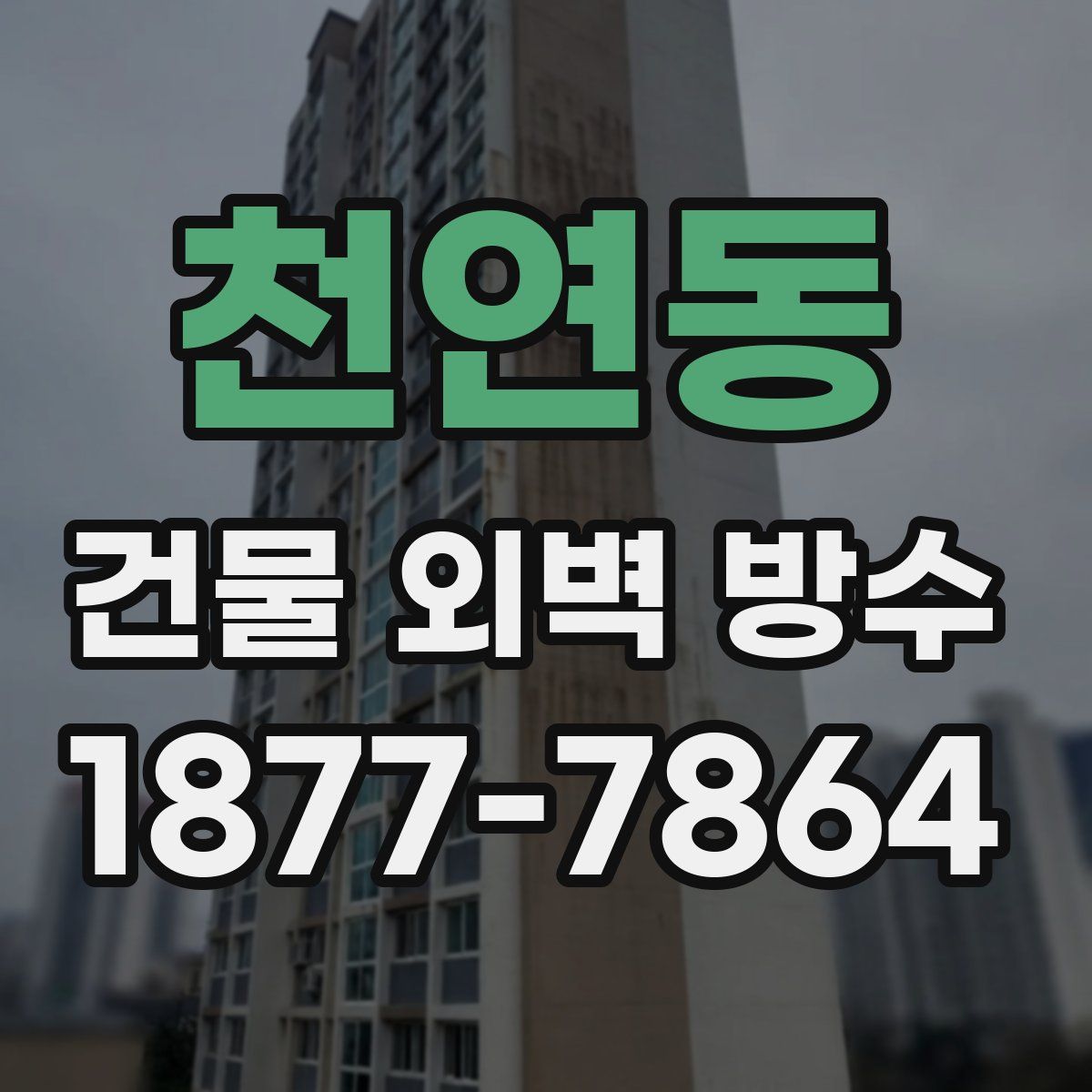 천연동 건물 외벽 방수