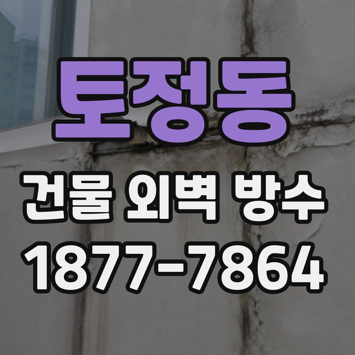 토정동 건물 외벽 방수