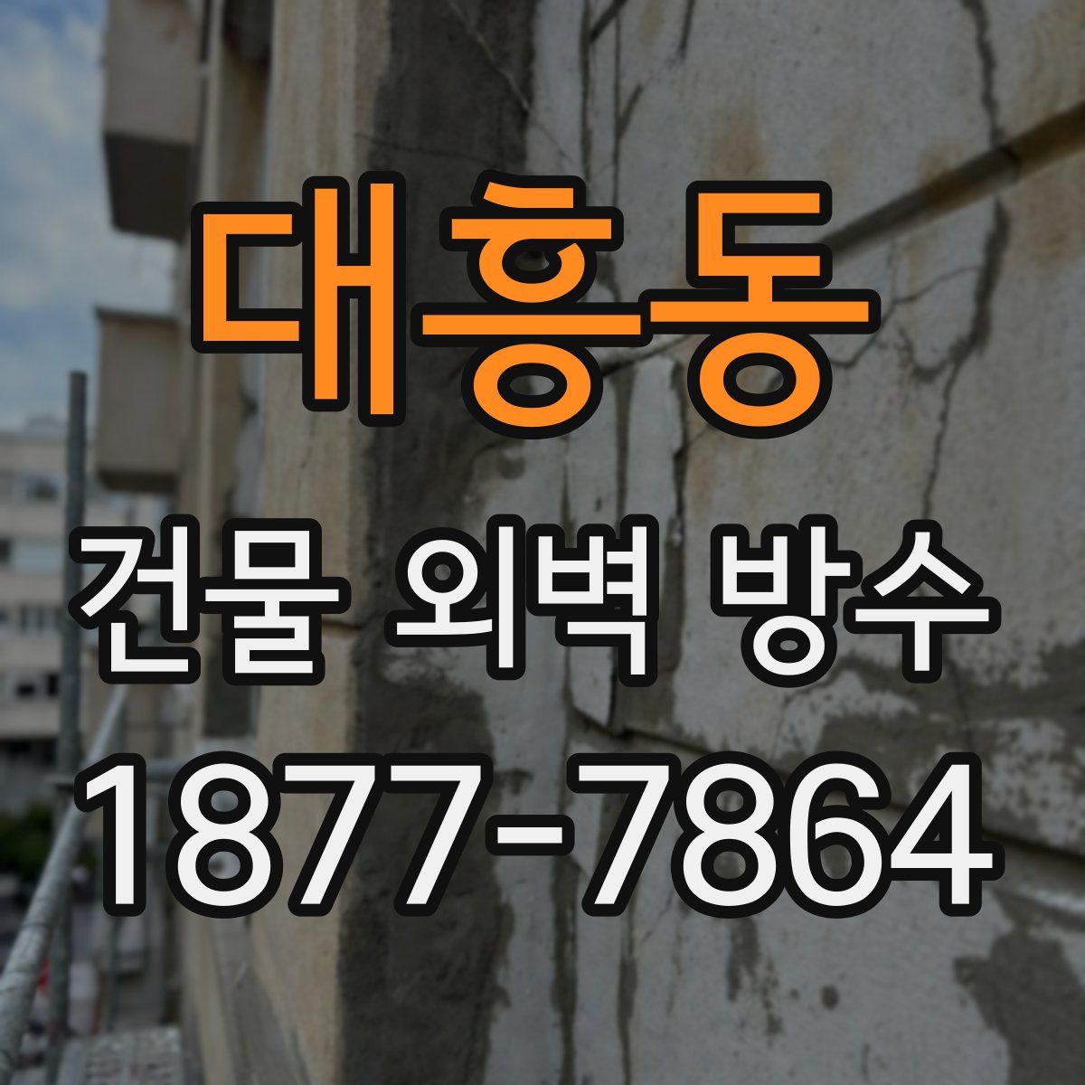대흥동 건물 외벽 방수