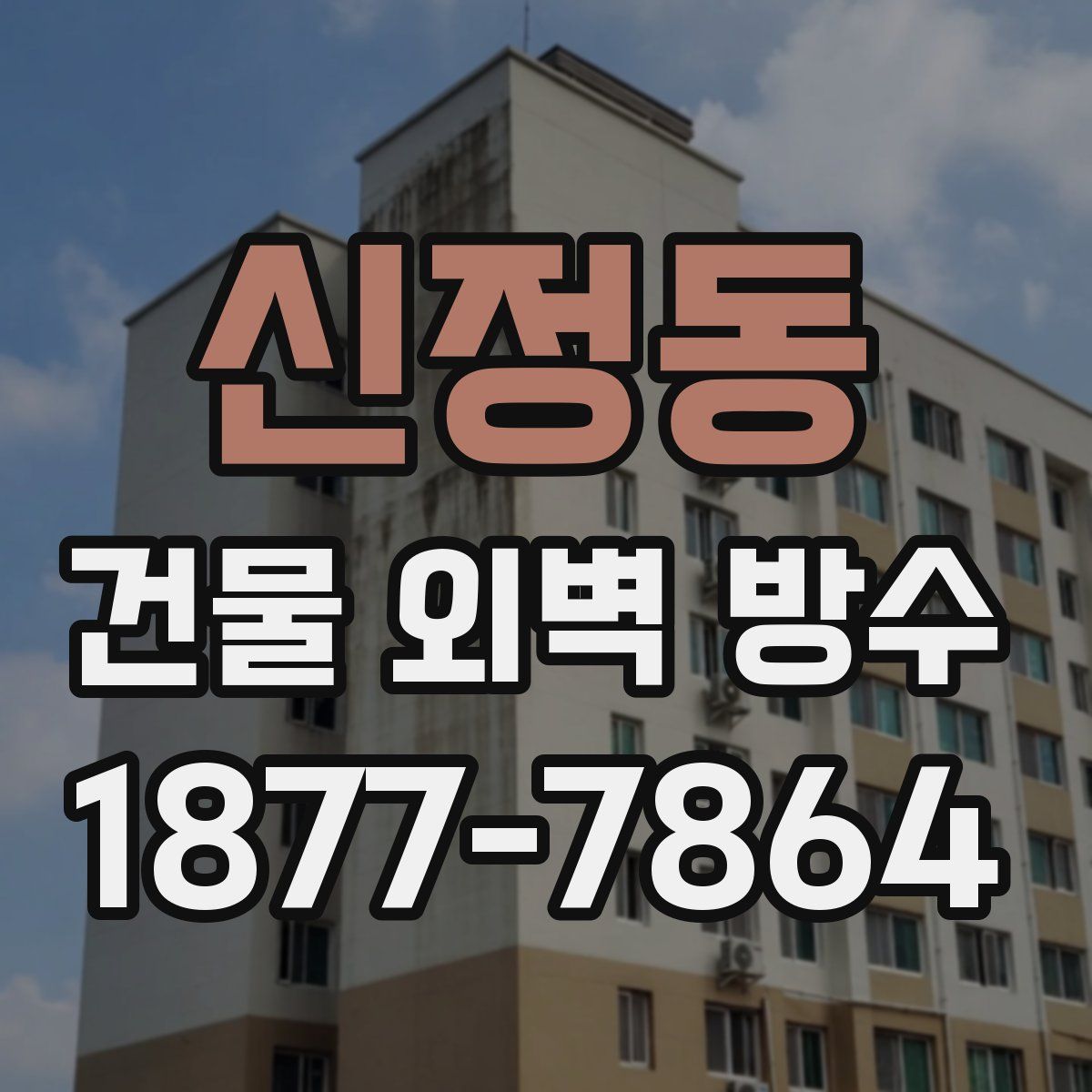 신정동 건물 외벽 방수
