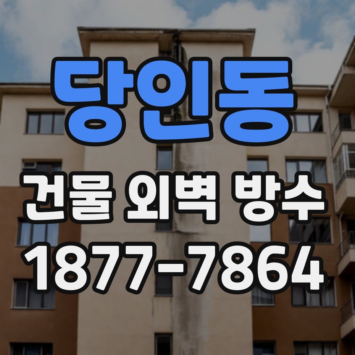당인동 건물 외벽 방수 점검 후 우선순위 정하는 법