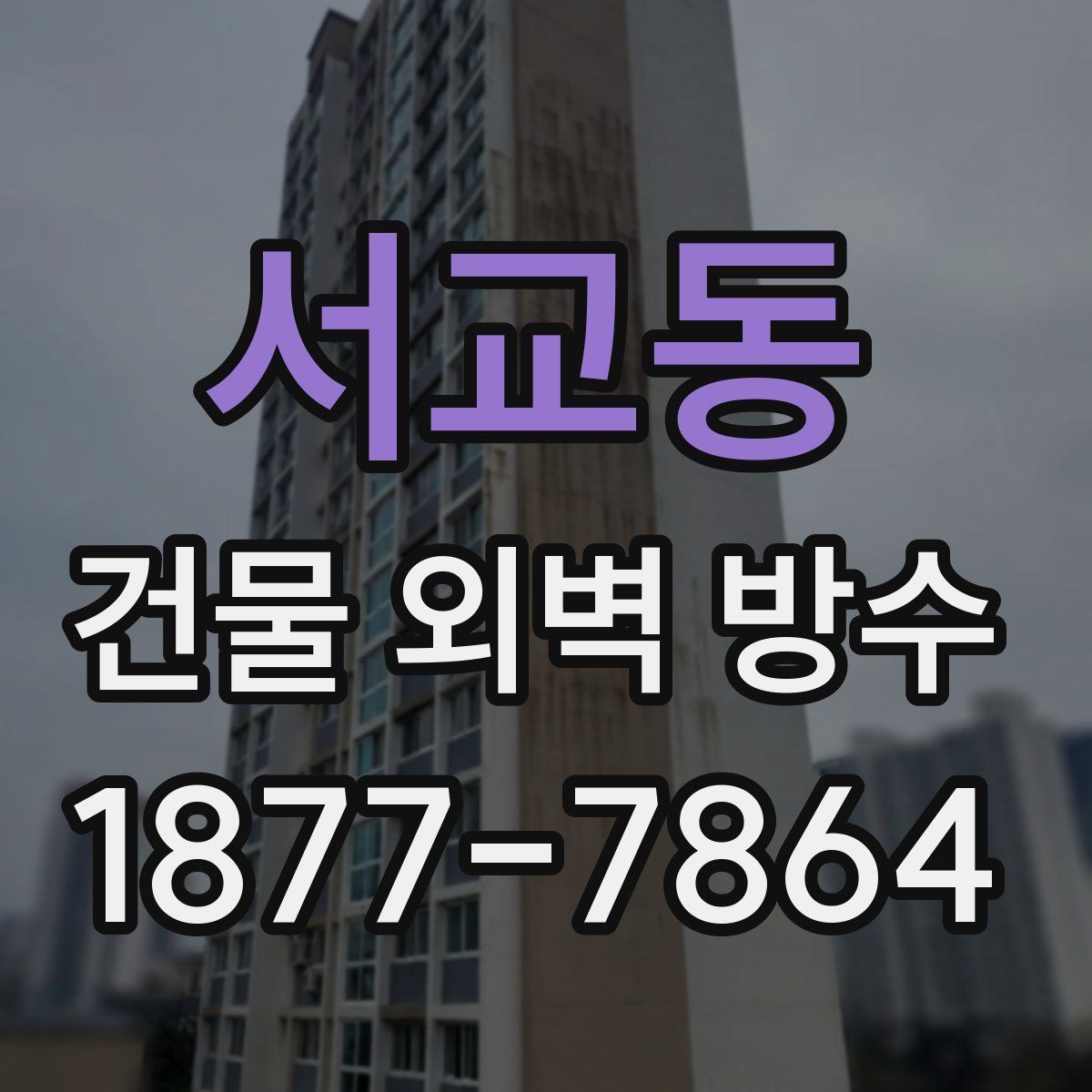 서교동 건물 외벽 방수