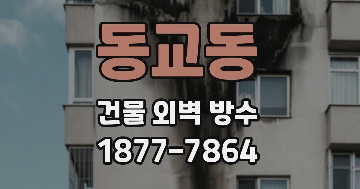 동교동 건물 외벽 방수