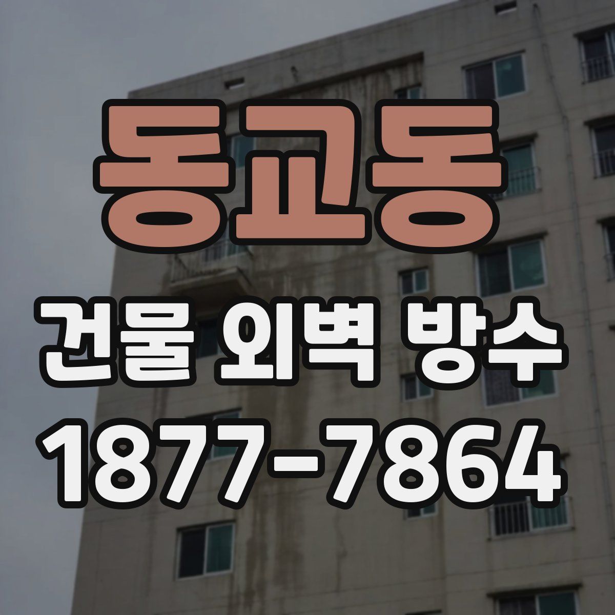 동교동 건물 외벽 방수