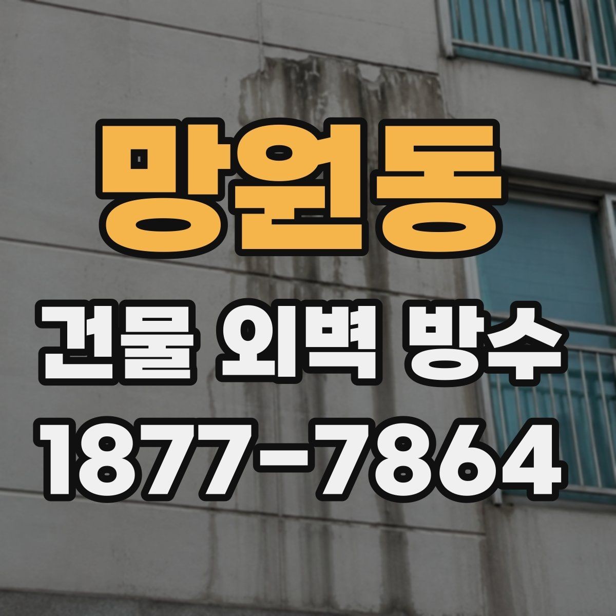 망원동 건물 외벽 방수 공정 순서와 작업 흐름