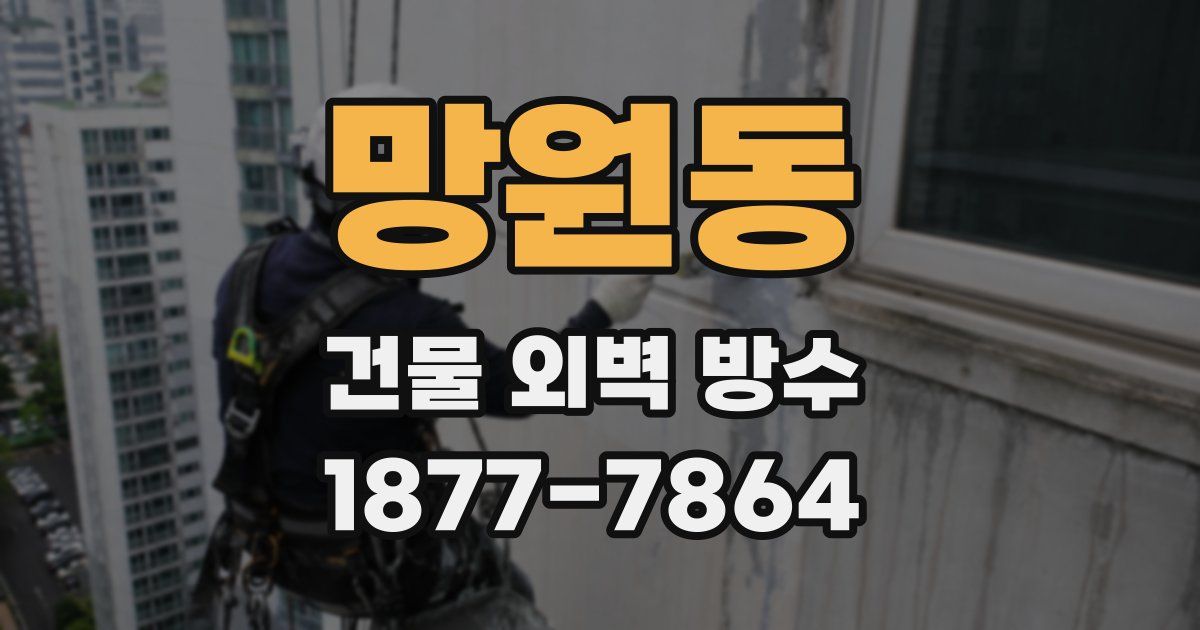 망원동 건물 외벽 방수