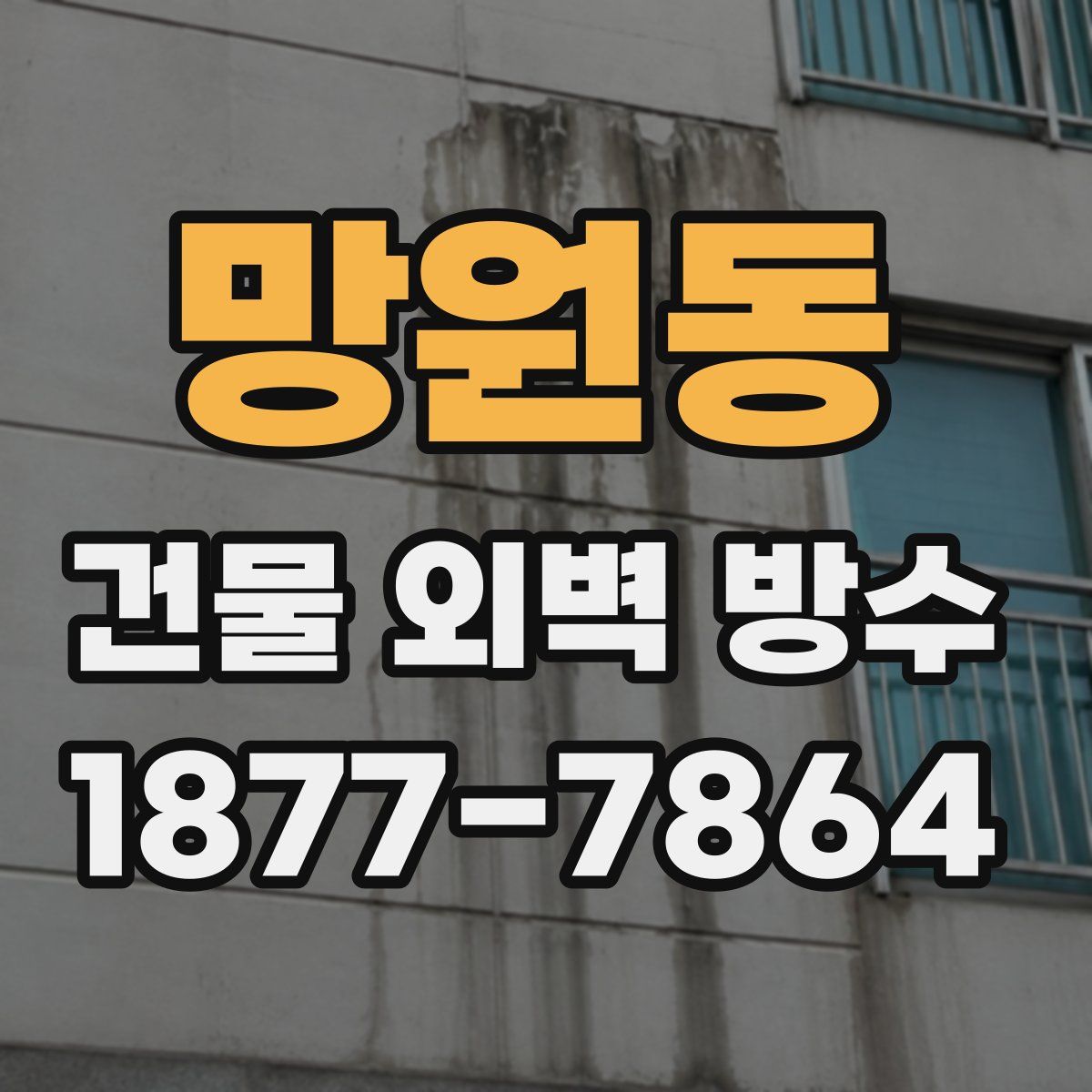 망원동 건물 외벽 방수