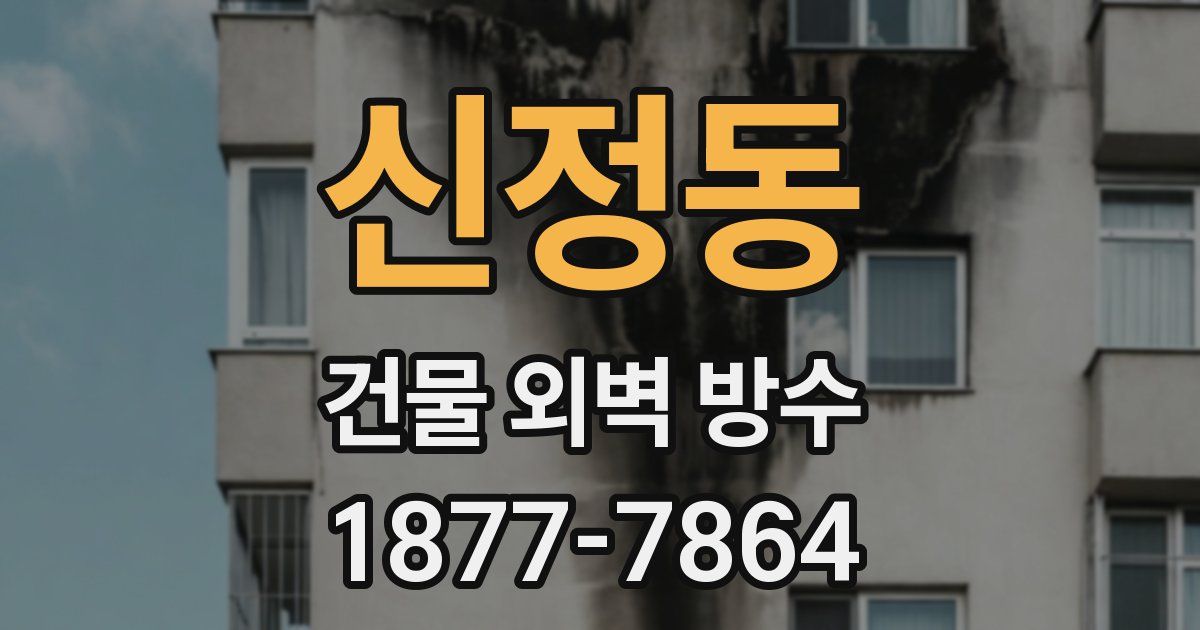 신정동 건물 외벽 방수