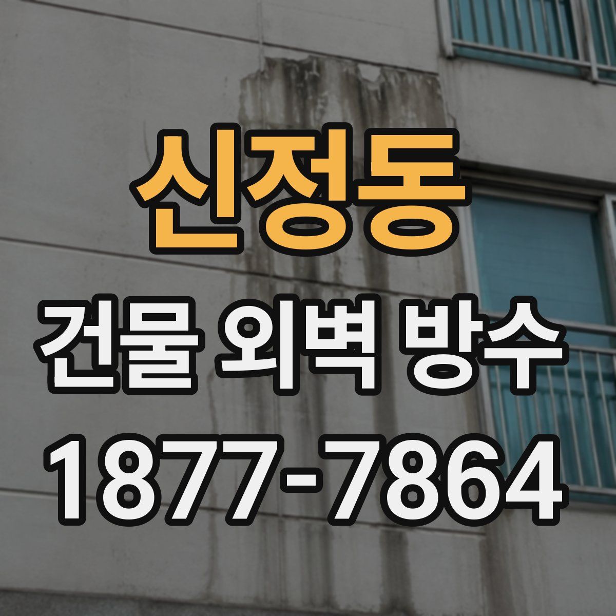 신정동 건물 외벽 방수