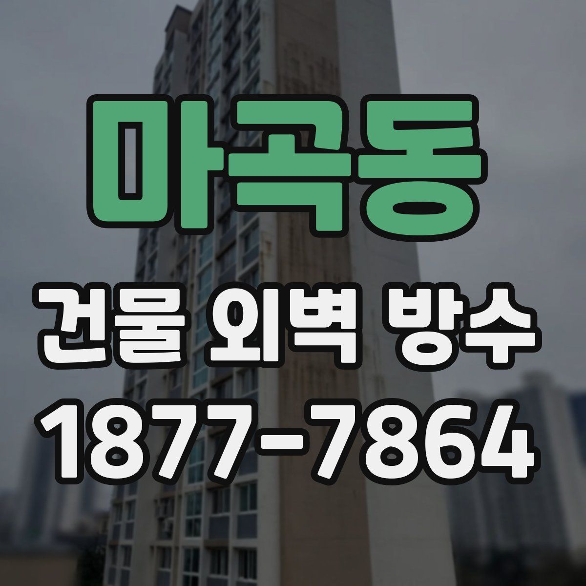 마곡동 건물 외벽 방수