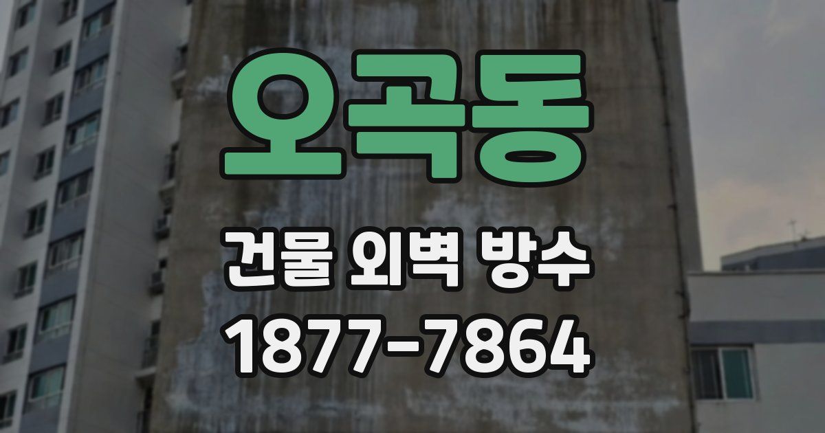 오곡동 건물 외벽 방수