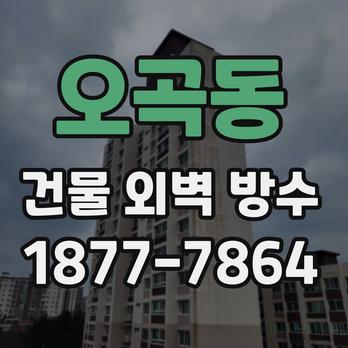 오곡동 건물 외벽 방수