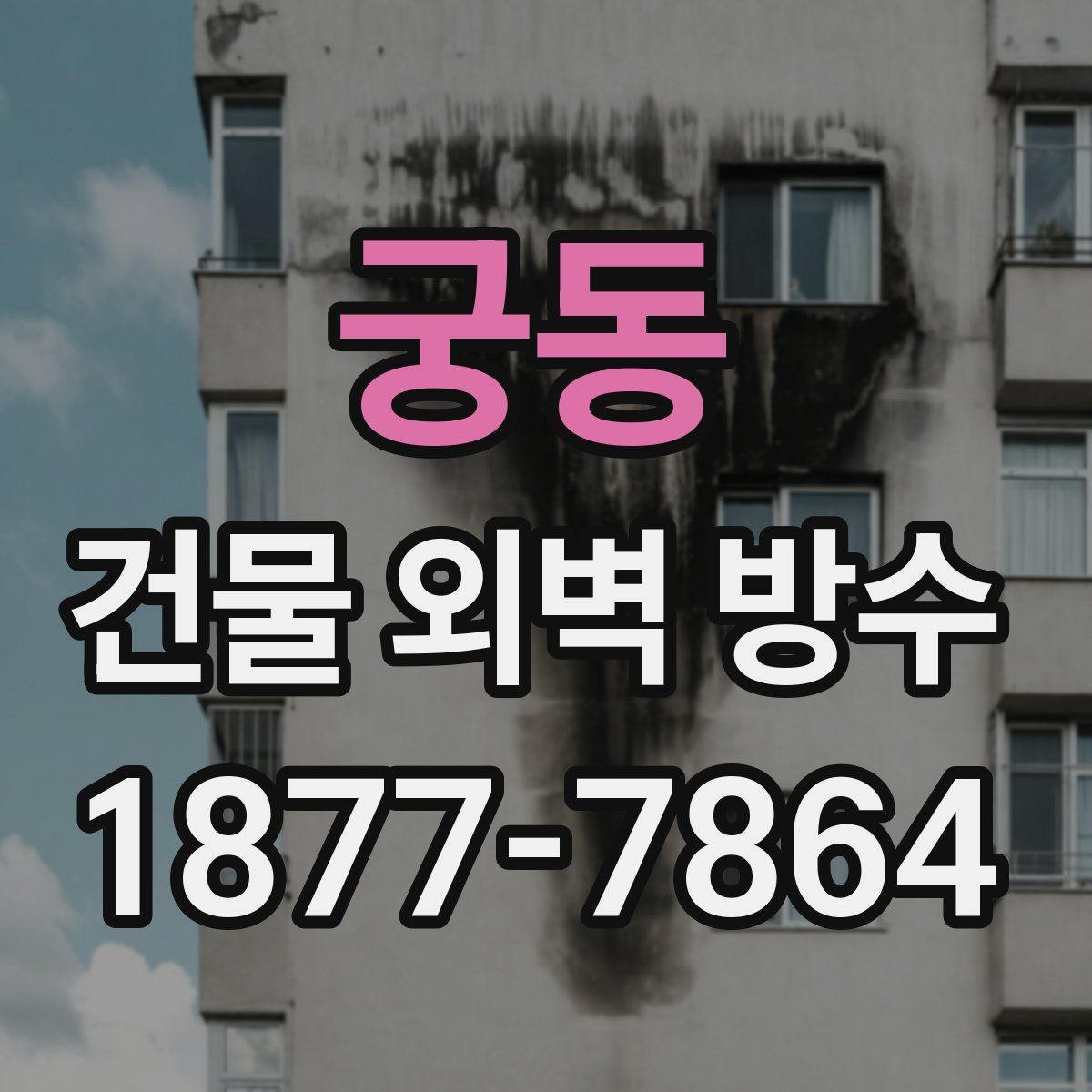 궁동 건물 외벽 방수