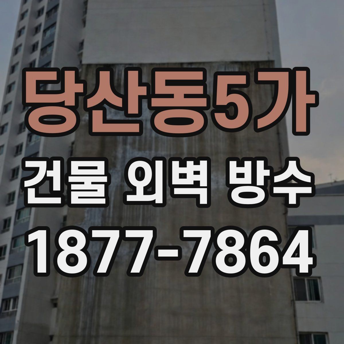당산동5가 건물 외벽 방수 누수 경로 찾는 방법