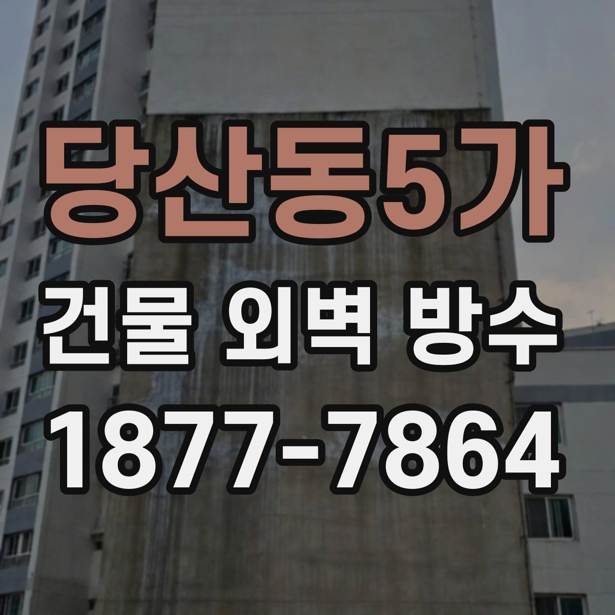 당산동5가 건물 외벽 방수