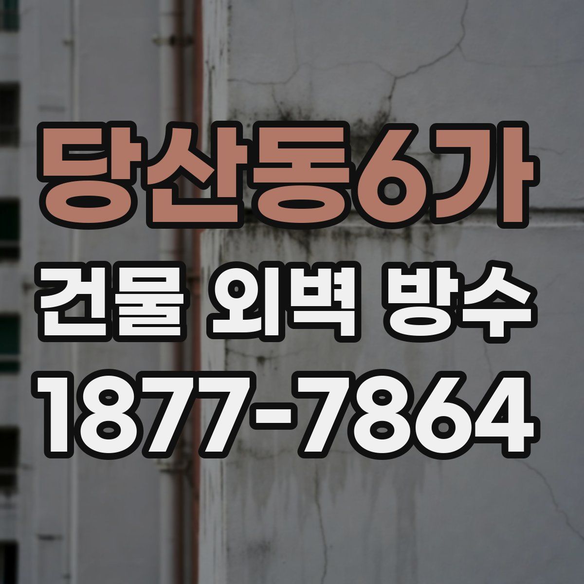 당산동6가 건물 외벽 방수