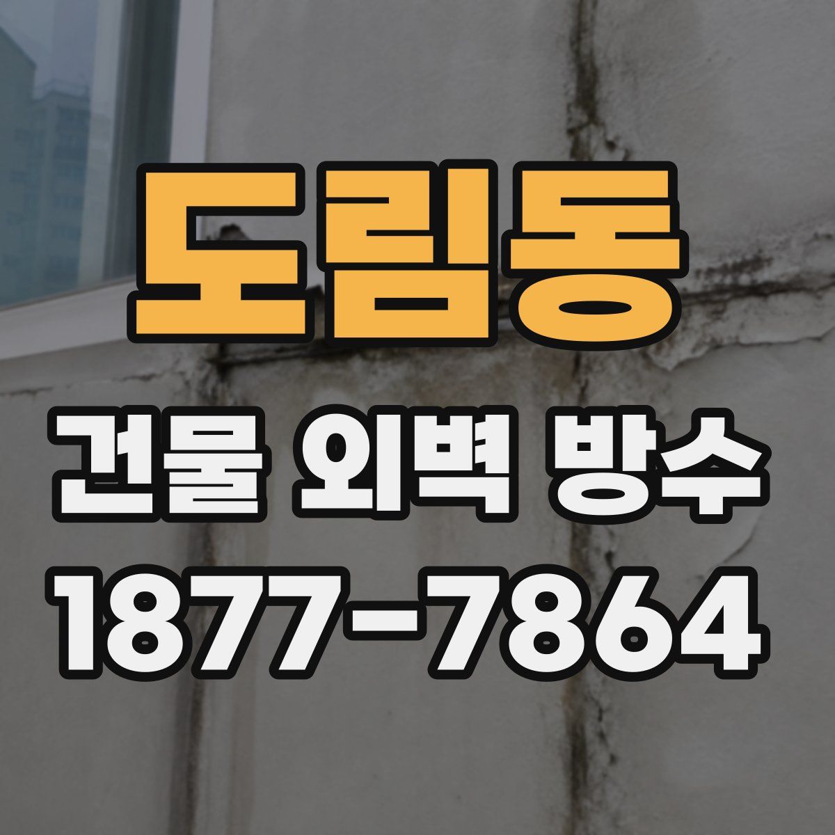 도림동 건물 외벽 방수