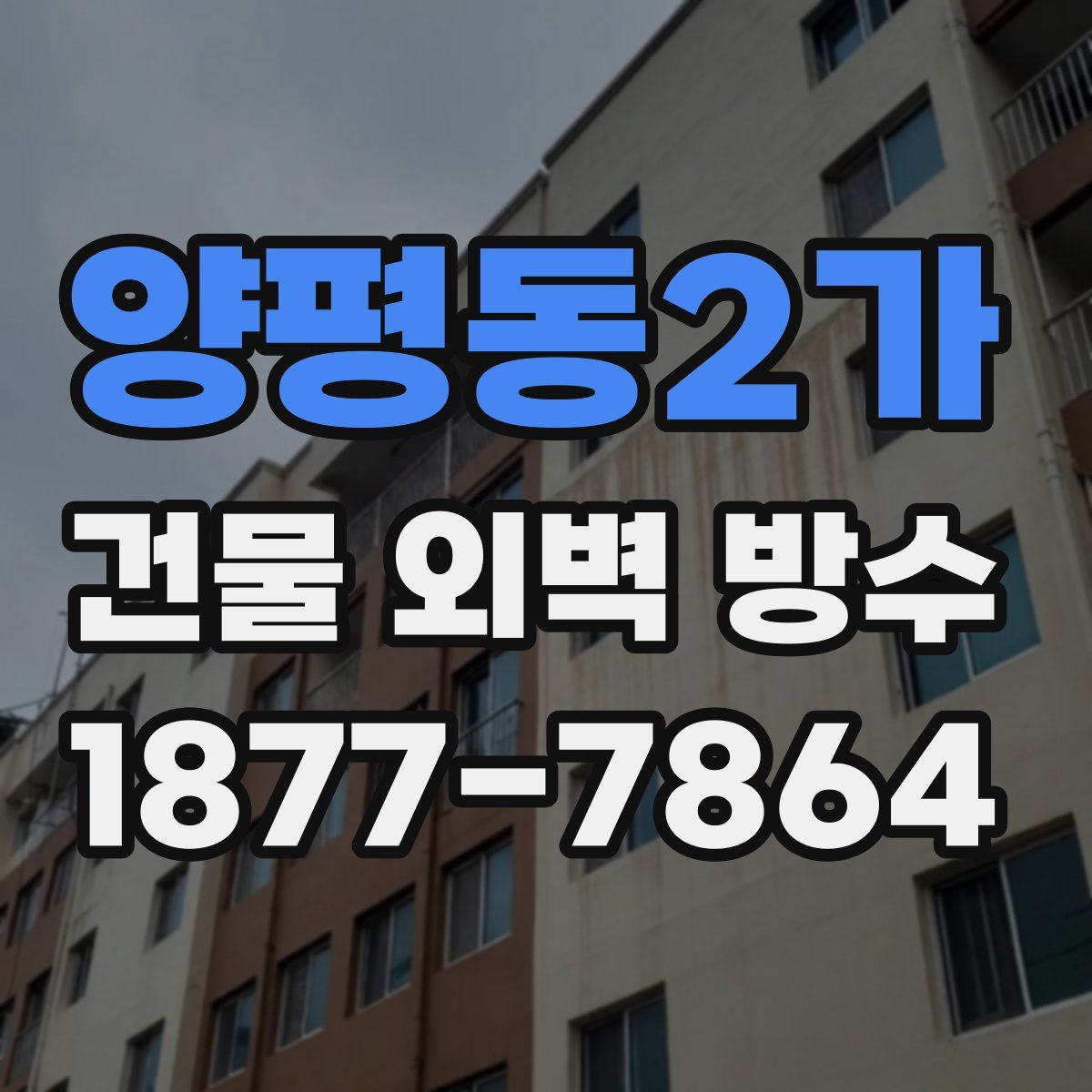 양평동2가 건물 외벽 방수