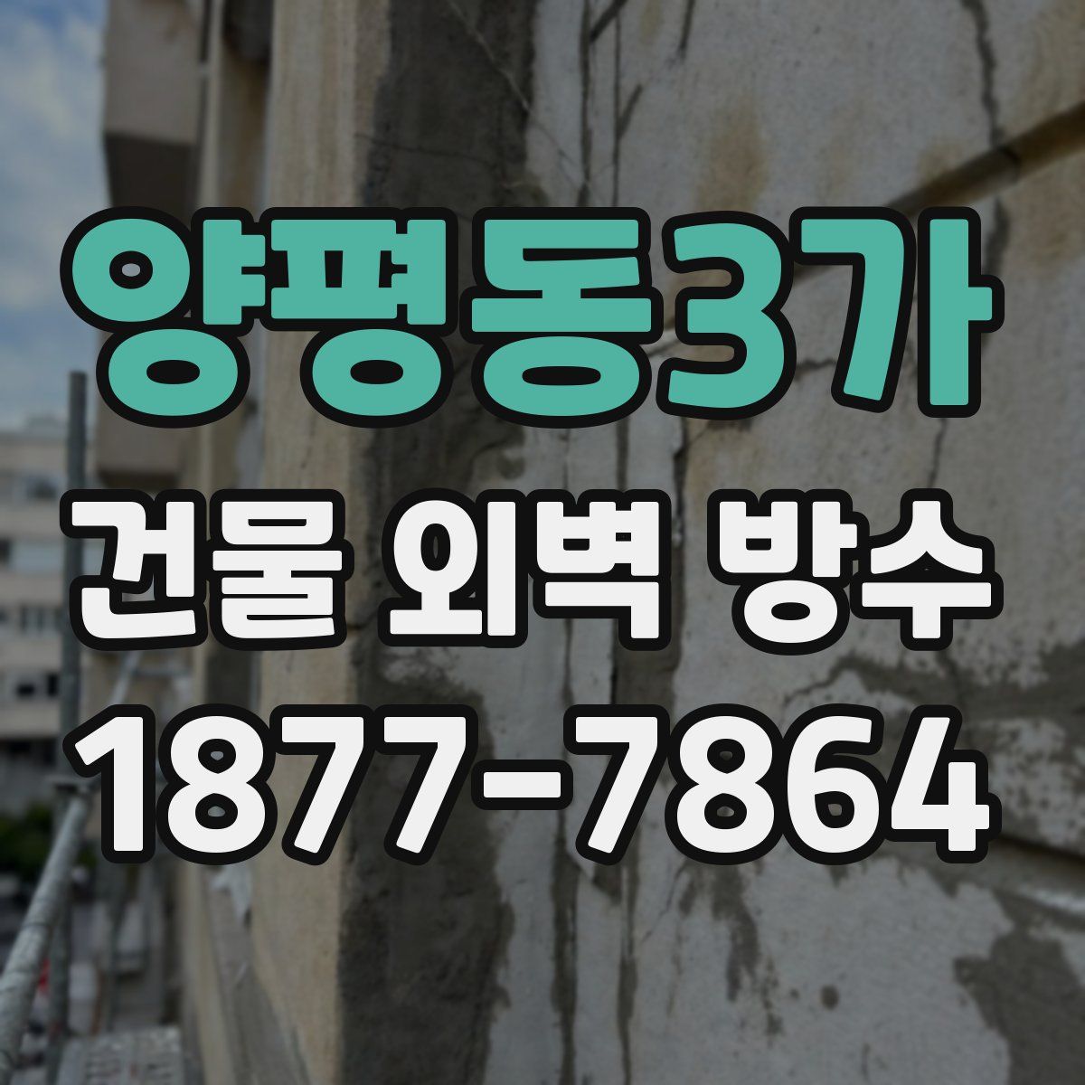 양평동3가 건물 외벽 방수