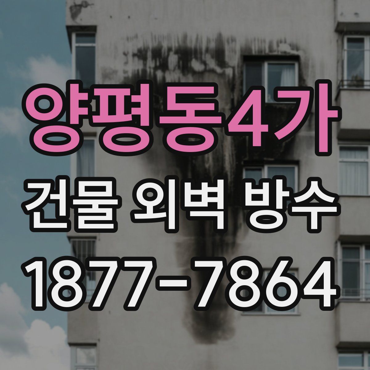 양평동4가 건물 외벽 방수