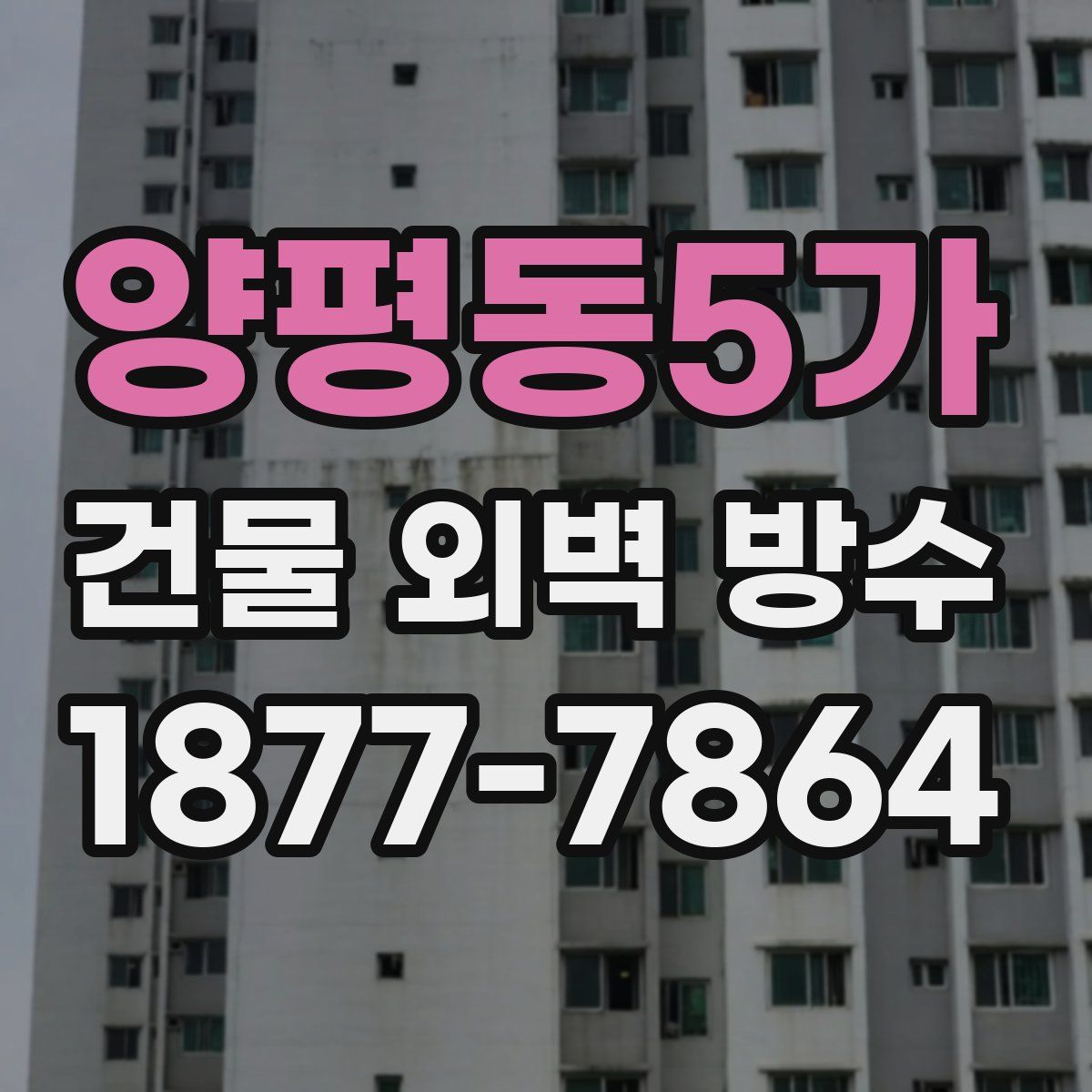 양평동5가 건물 외벽 방수