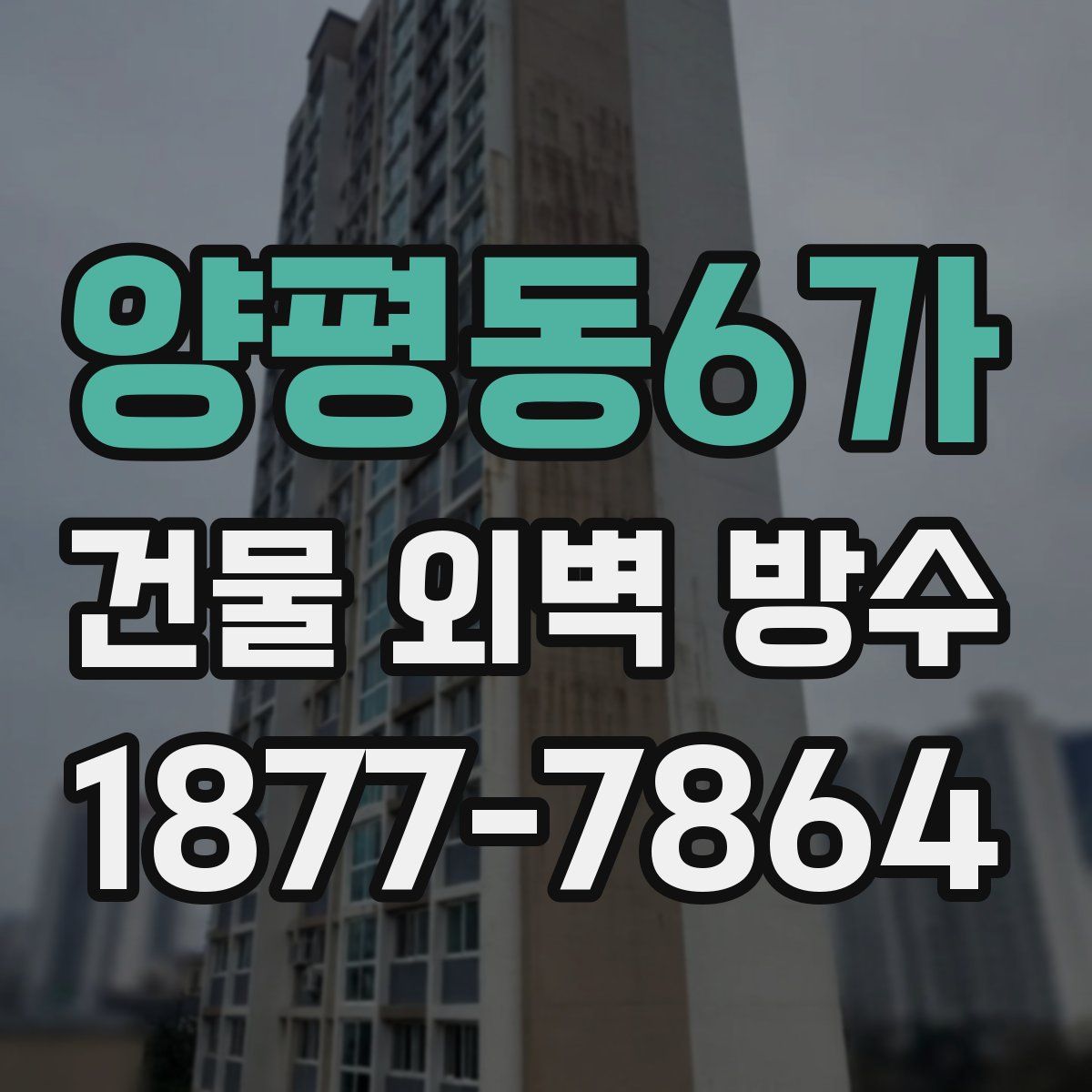 양평동6가 건물 외벽 방수
