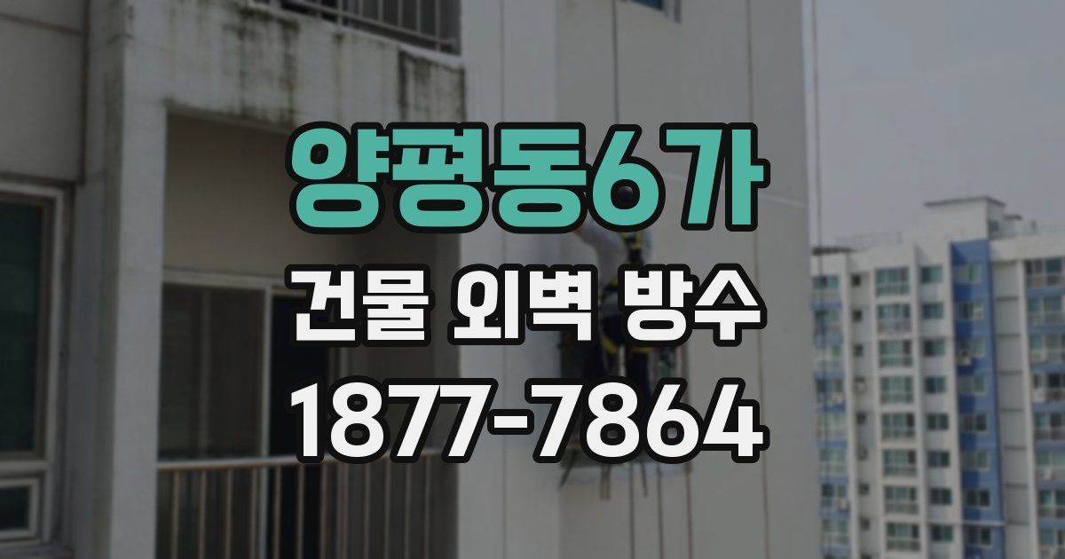 양평동6가 건물 외벽 방수