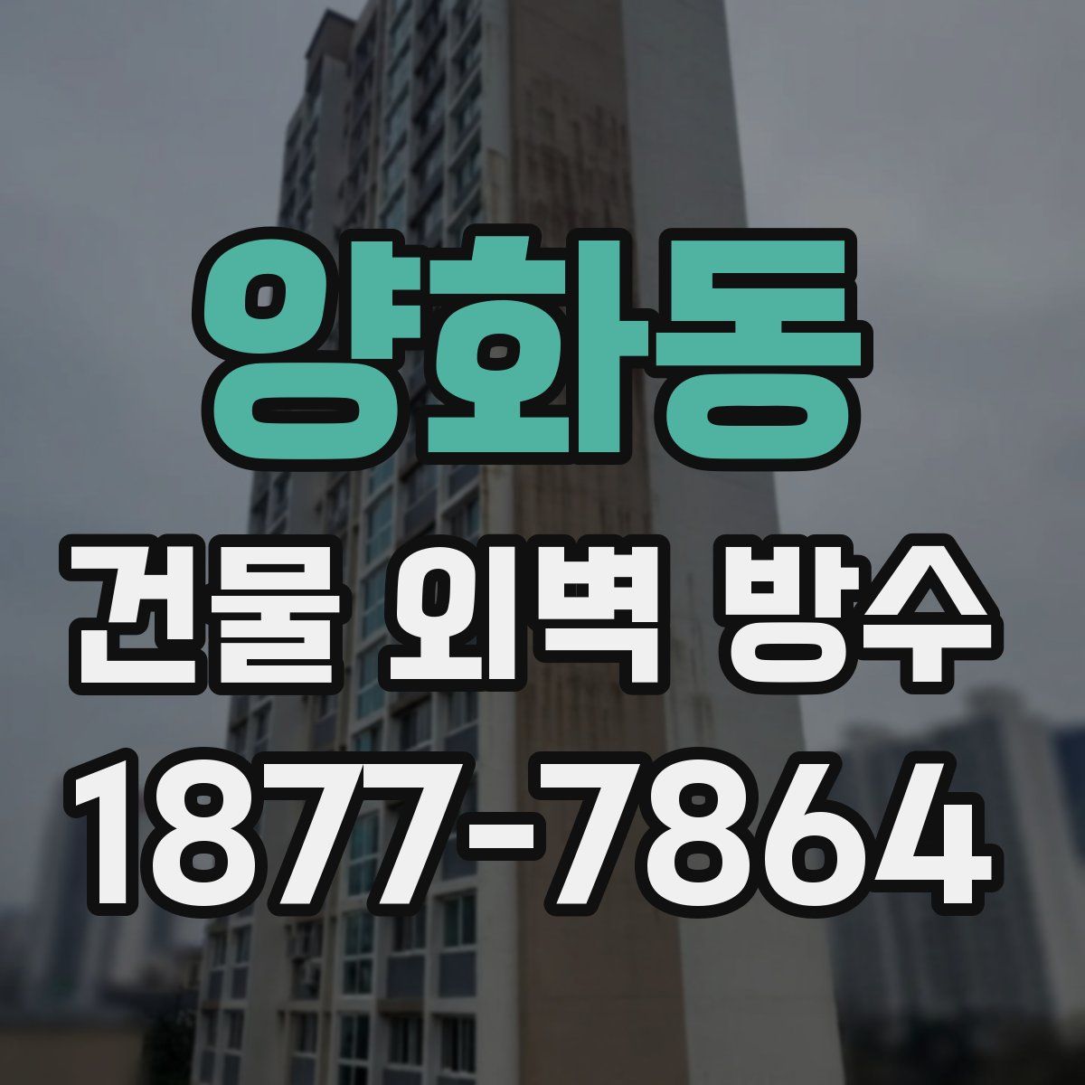 양화동 건물 외벽 방수